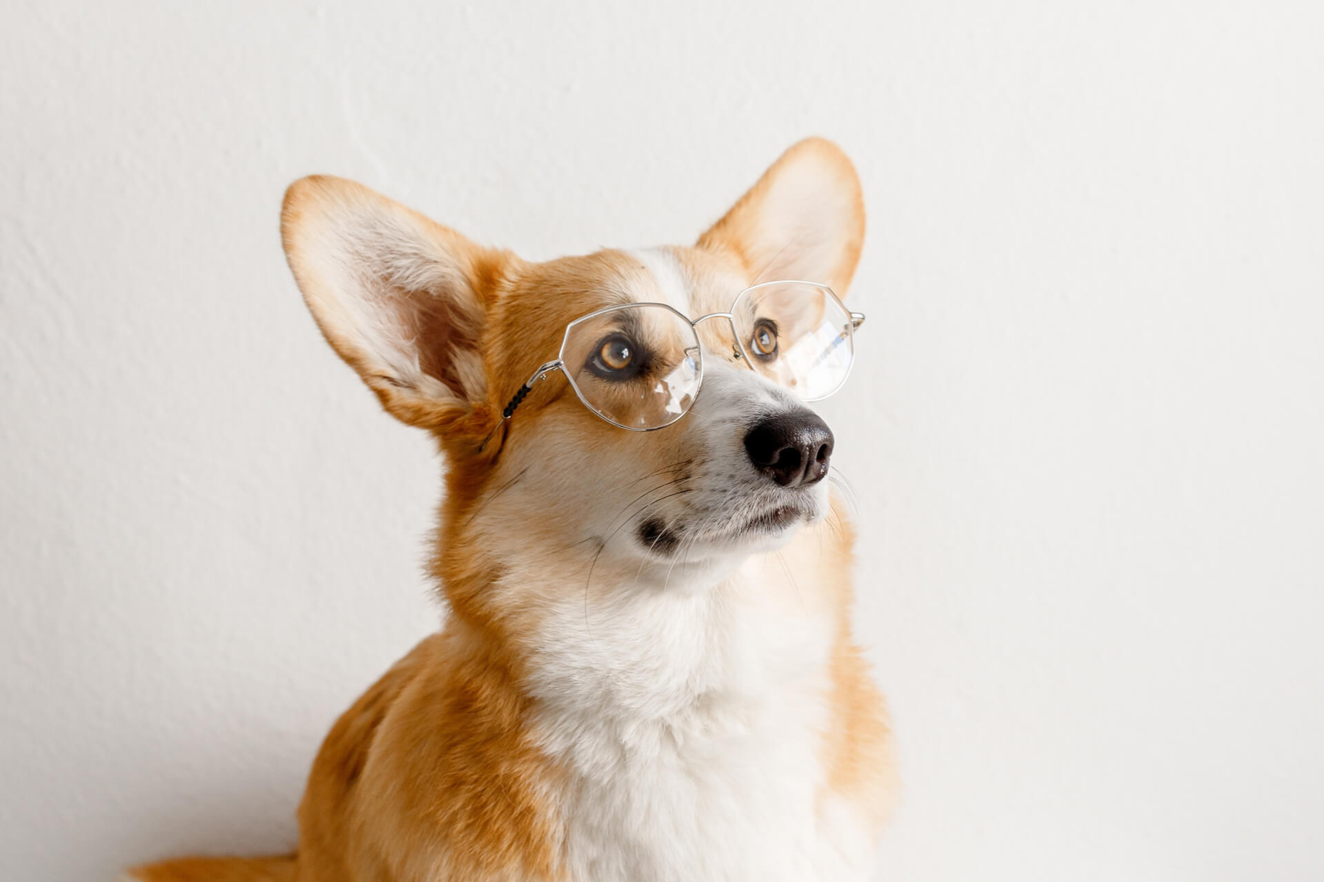 Qu’est-ce que l’ostèopathie ?