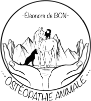 Logo sans fond-recadre